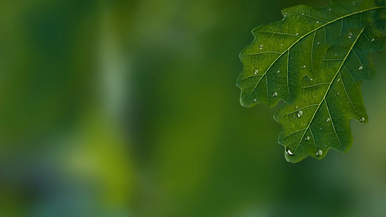 The Preserve Oakville - Luxury Living Community